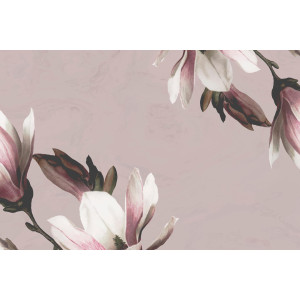 Fototapeta kwiat magnolii