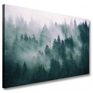 Obraz na płótnie drzewo las mgła natura wzór OBR15