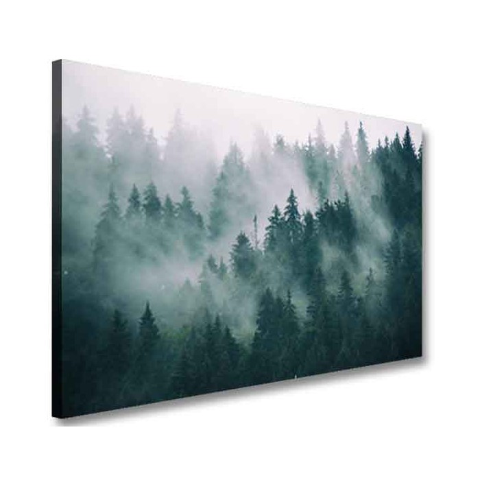 Obraz na płótnie drzewo las mgła natura wzór OBR15