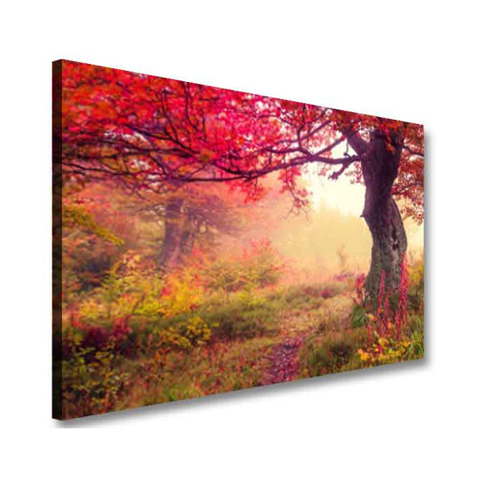 Obraz na płótnie drzewo las mgła natura wzór OBR22