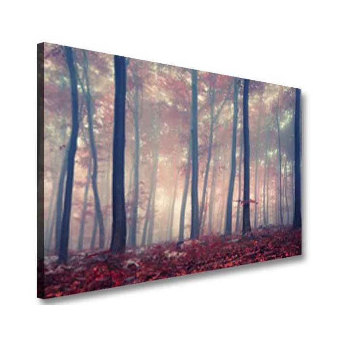 Obraz na płótnie drzewo las mgła natura wzór OBR25