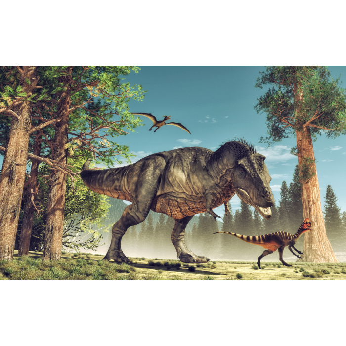 Fototapeta dla dzieci - Dinozaury III