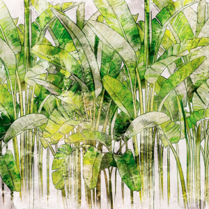 Fototapeta na wymiar - Tropikalne palmy